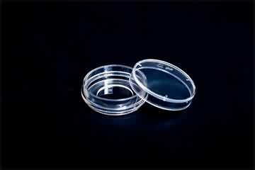 35mm Glass Bottom Dish, plastic wall, microscopy and confocal image analysis