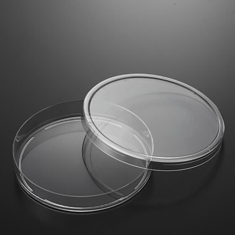 medical laboratory glassware lab petri dish