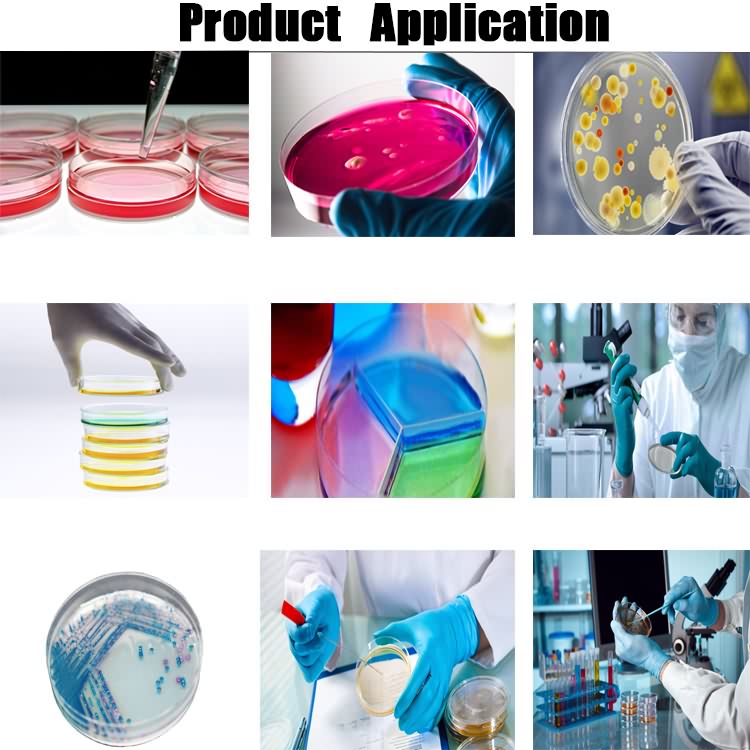 Lab Supplies Different Types Plastic 35 60 65 70 75 90 150mm Petri Dish