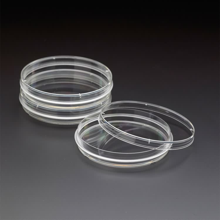 High quality disposable sterile 70mm petri dish container