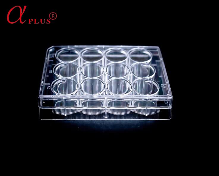 12 wells plastic disposable sterile cell culture plate