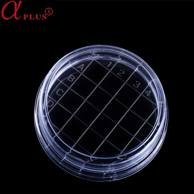 High Quality Disposable Medical PS Petri Dish With Grid