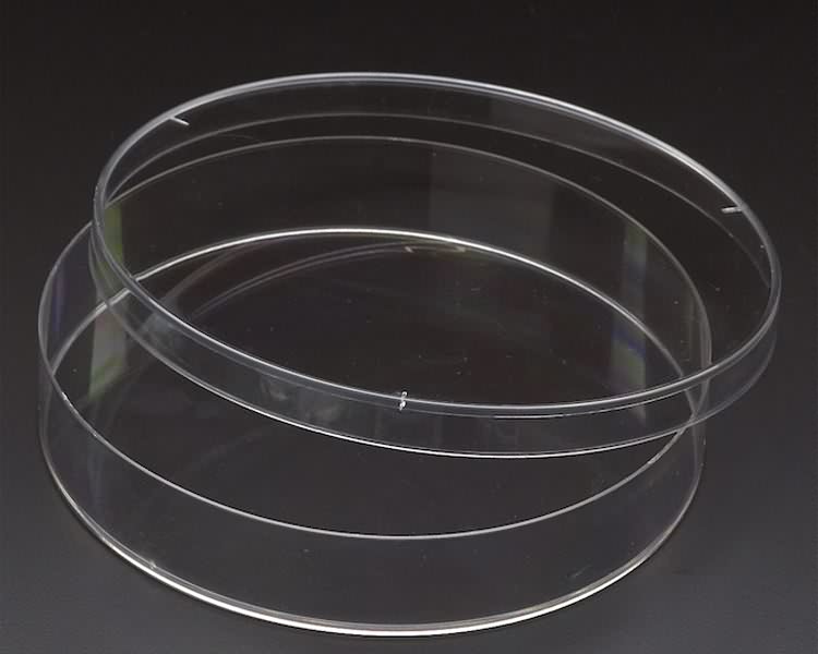 medical laboratory glassware lab petri dish
