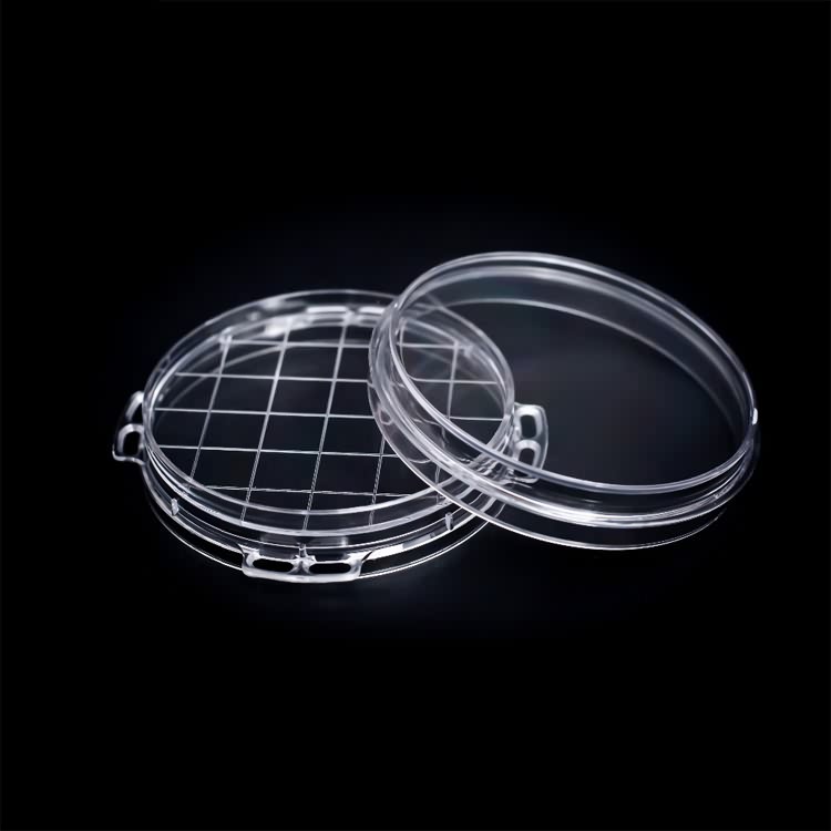 Wholesale transparent 35mm 60mm 90mm 100mm 120mm 150mm cell culture petri dish lab disposable tissue cell culture dishs