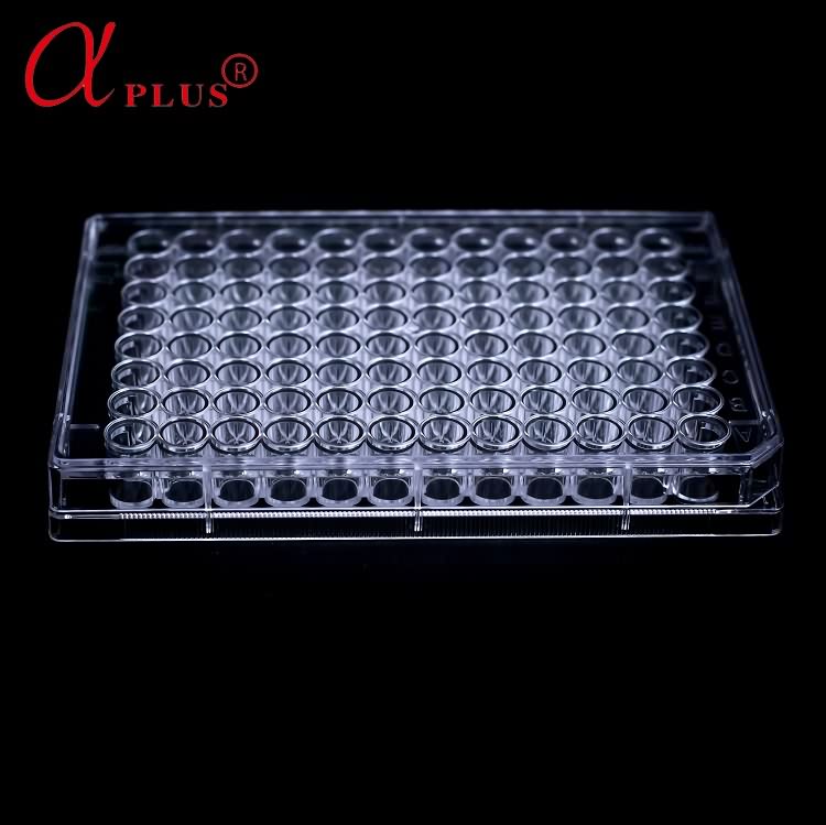 Lab Plastic Disposable 90mm Different Size Petri Dish
