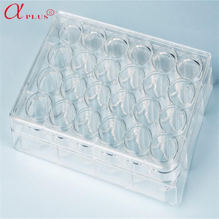 Lab medical plastic steril disposable 6 well tissue cell culture plate