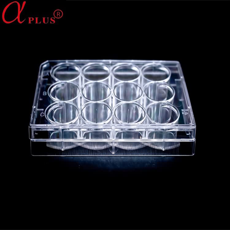 medical disposable 12 well plastic cell culture plate