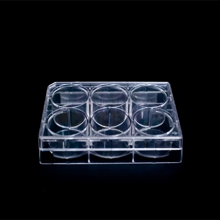 Lab plastic disposable sterile 75mm ps petri culture dishes container