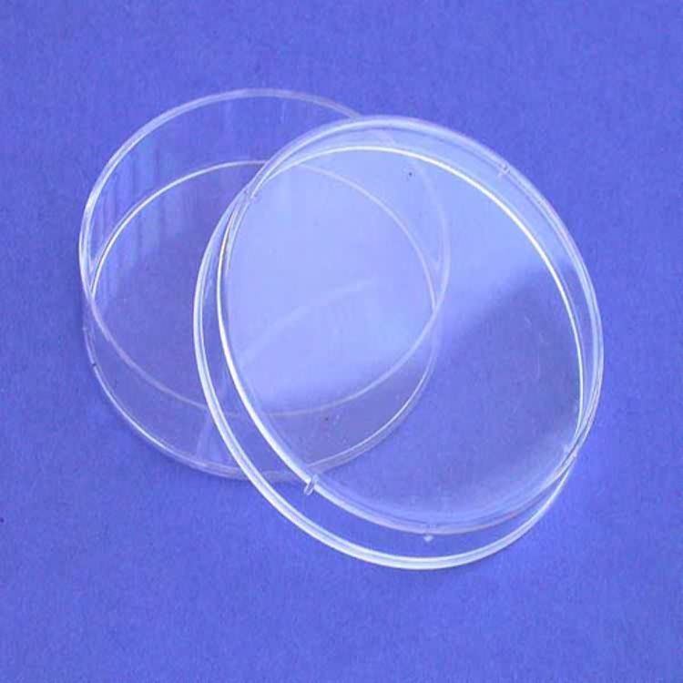 Plastic PS Streil Disposable 60mm Petri Dish With Lid