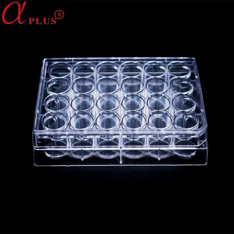 Medical lab plastic sterile 6 well tissue cell culture microplate manufacturer